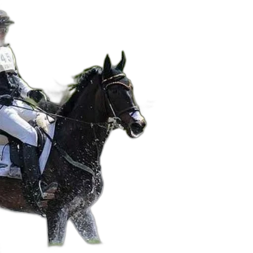 animal, staff, photorealistic, rider transparent PNG cut-out
