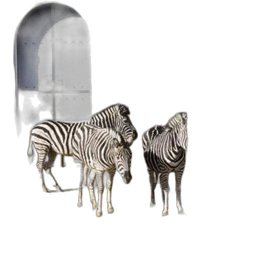animal, jewelry, furniture, 3d render transparent PNG cut-out
