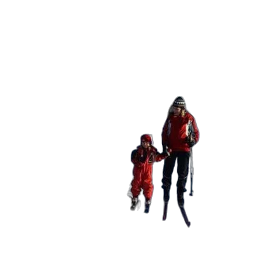 staff, jacket, umbrella, animal transparent PNG cut-out