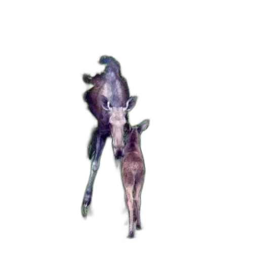 creature, animal, staff, robot transparent PNG cut-out
