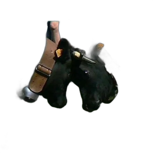weapon, staff, animal, mask transparent PNG cut-out