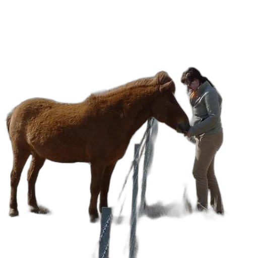 animal, staff, creature, hat transparent PNG cut-out