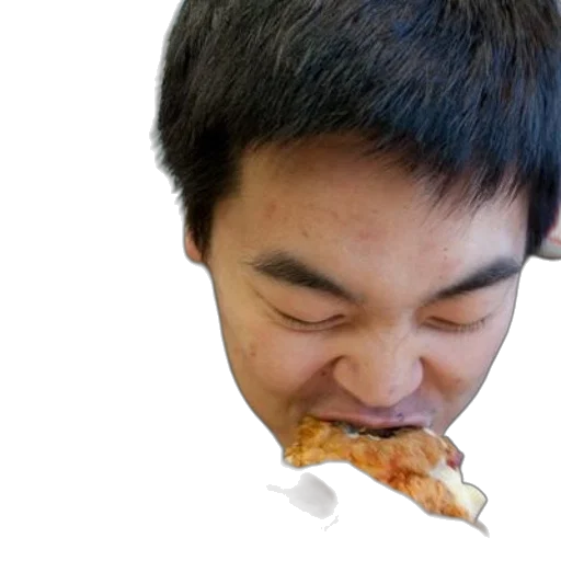 food, face, animal, creature transparent PNG cut-out