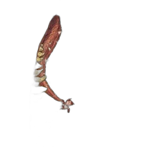 dragon, animal, creature, staff transparent PNG cut-out