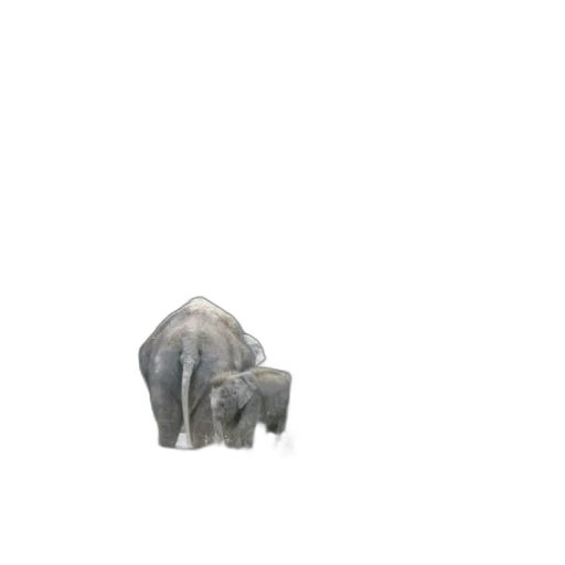 animal, creature, furniture, mask transparent PNG cut-out