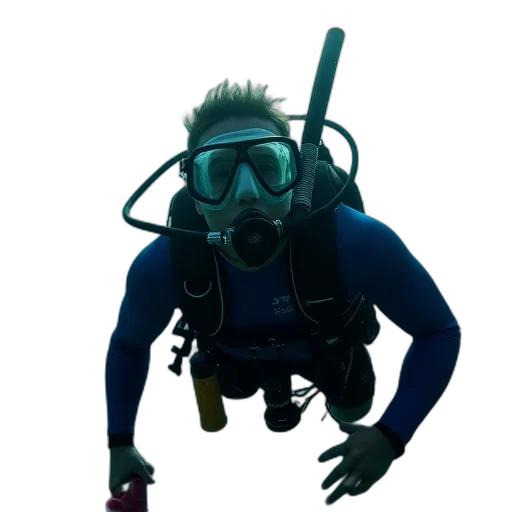staff, creature, mask, animal transparent PNG cut-out