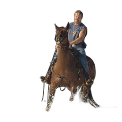 animal, staff, weapon, photorealistic transparent PNG cut-out