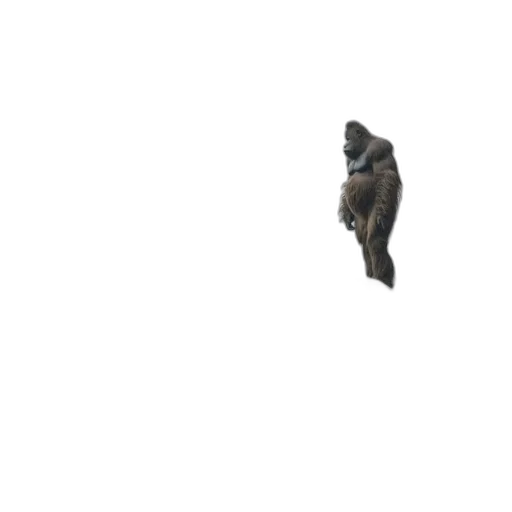 animal, creature, dragon, robot transparent PNG cut-out