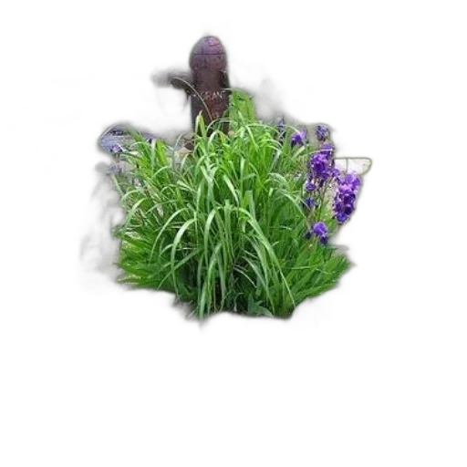 flower, hat, dragon, crown transparent PNG cut-out