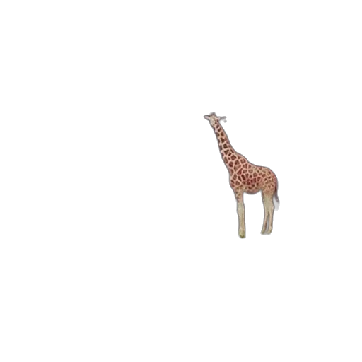 animal, creature, furniture, weapon transparent PNG cut-out