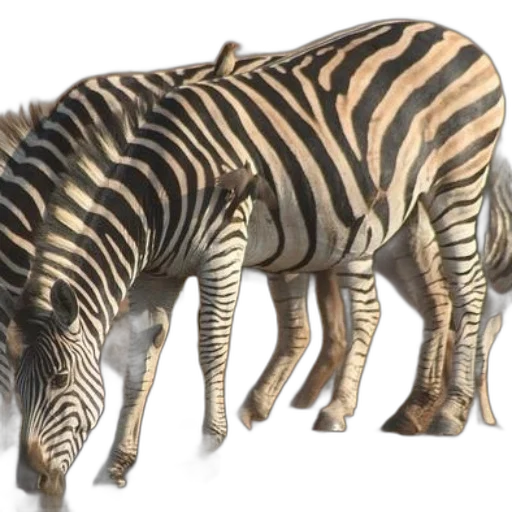 animal, creature, 3d render, concept art transparent PNG cut-out