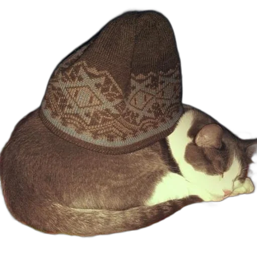 hat, crown, staff, animal transparent PNG cut-out