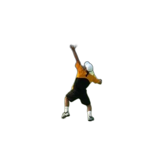 staff, shoes, tennis, player transparent PNG cut-out