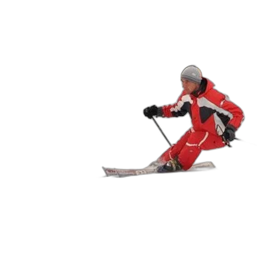 staff, robot, weapon, animal transparent PNG cut-out