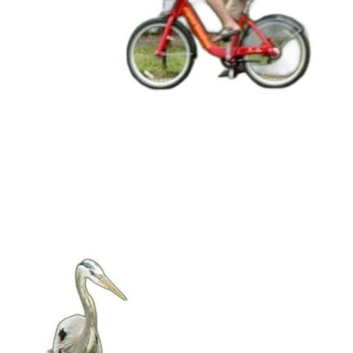 shoes, animal, creature, weapon transparent PNG cut-out