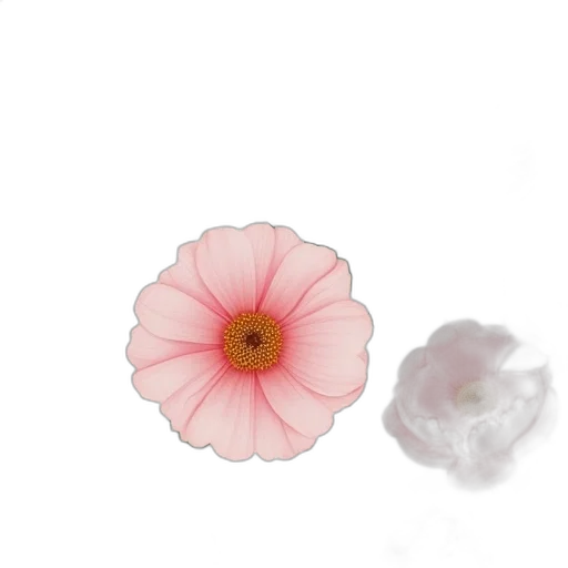 flower, crown, jewelry, weapon transparent PNG cut-out