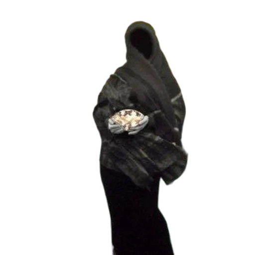 crown, staff, umbrella, jacket transparent PNG cut-out