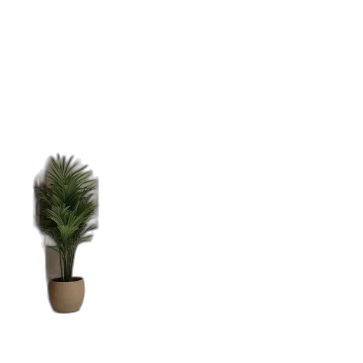 tree, hair, flower, furniture transparent PNG cut-out