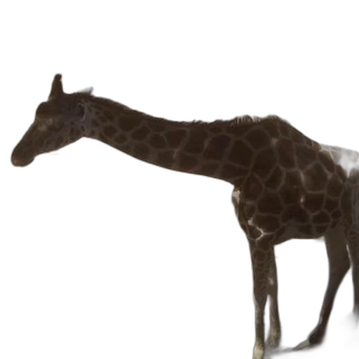 animal, creature, staff, weapon transparent PNG cut-out