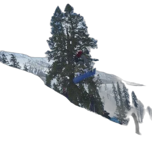 tree, 3d render, photorealistic, snow transparent PNG cut-out