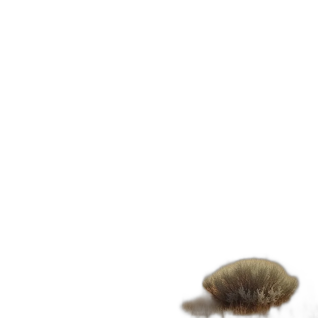 animal, creature, hair, hat transparent PNG cut-out
