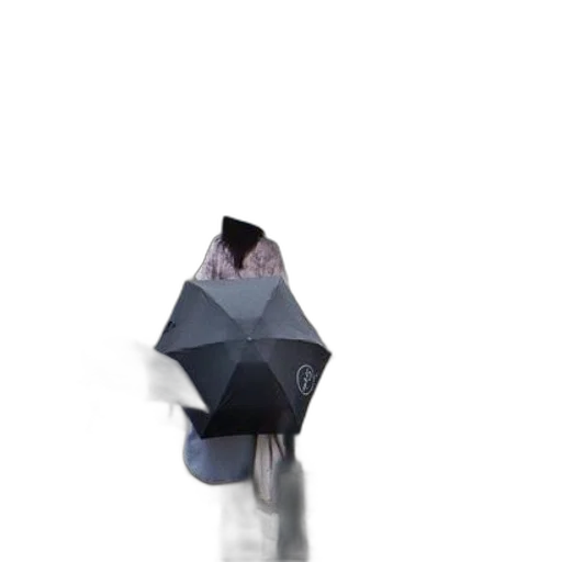 umbrella, hat, jacket, dress transparent PNG cut-out