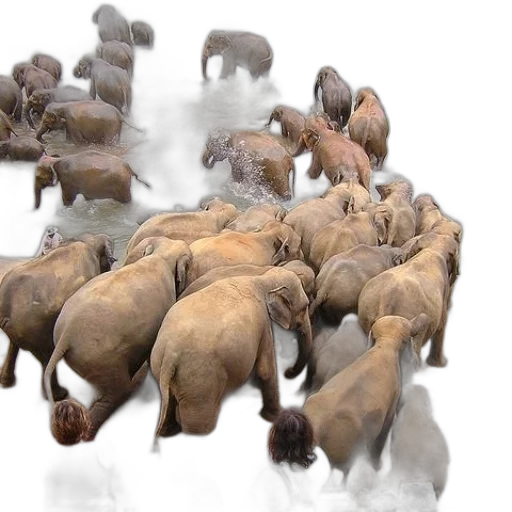 animal, 3d render, concept art, herd transparent PNG cut-out