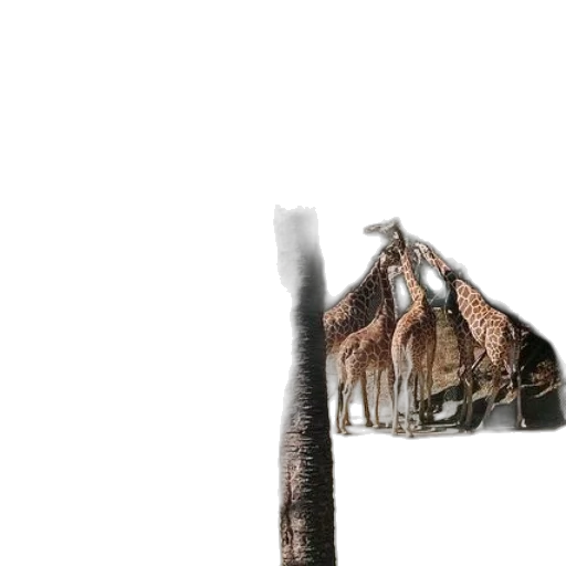 hair, tree, dragon, staff transparent PNG cut-out