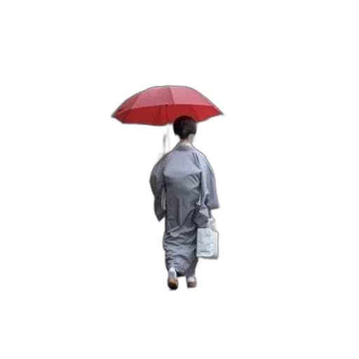 umbrella, hat, jacket, staff transparent PNG cut-out