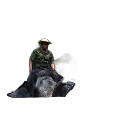 animal, creature, staff, hat transparent PNG cut-out