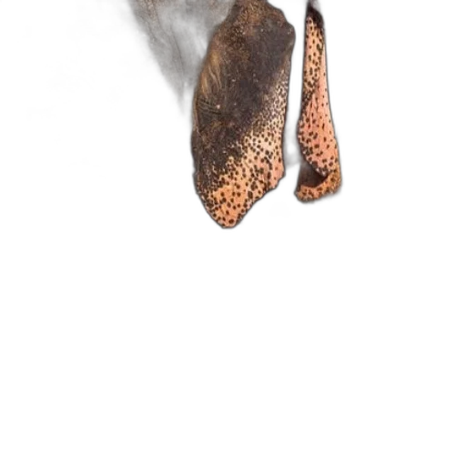 shoes, mask, staff, hair transparent PNG cut-out