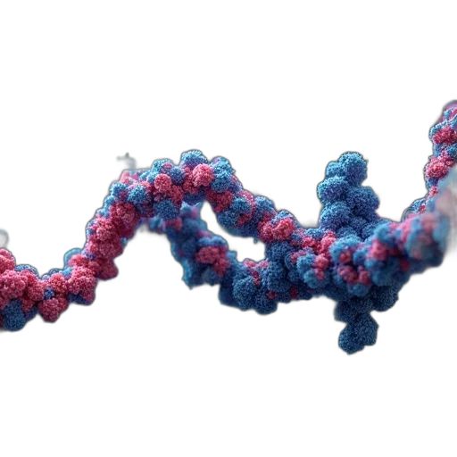 protein, sequences, system, explain transparent PNG cut-out