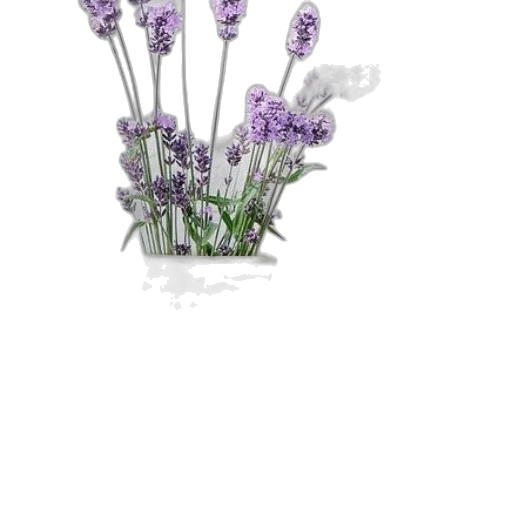 flower, staff, crown, weapon transparent PNG cut-out