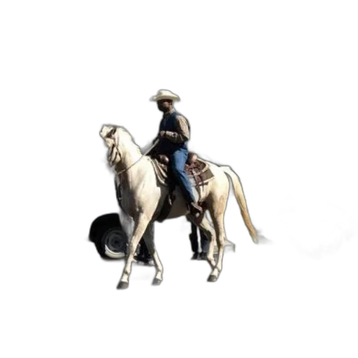 staff, animal, hat, jacket transparent PNG cut-out