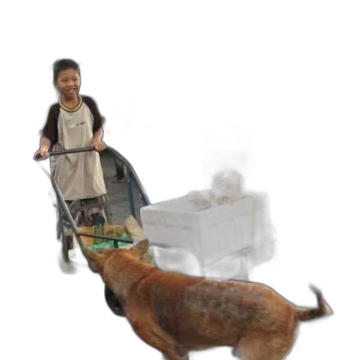 animal, creature, furniture, robot transparent PNG cut-out