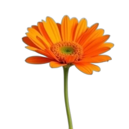 flower, staff, crown, weapon transparent PNG cut-out