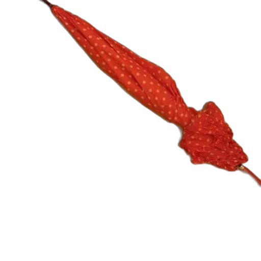 staff, weapon, sword, umbrella transparent PNG cut-out