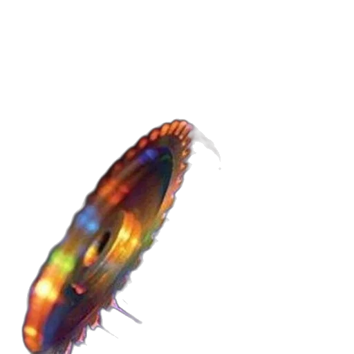 animal, creature, hair, crown transparent PNG cut-out