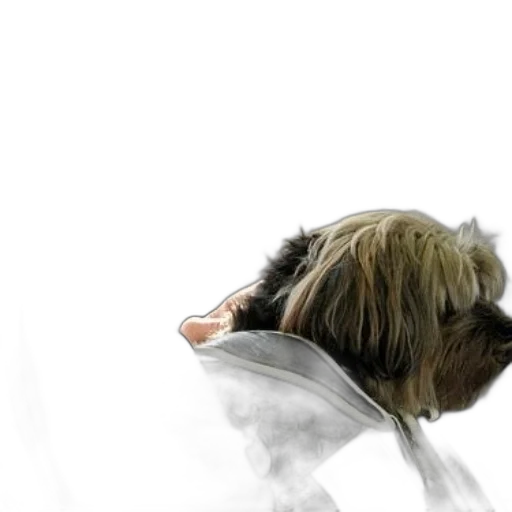 hair, mask, jacket, staff transparent PNG cut-out