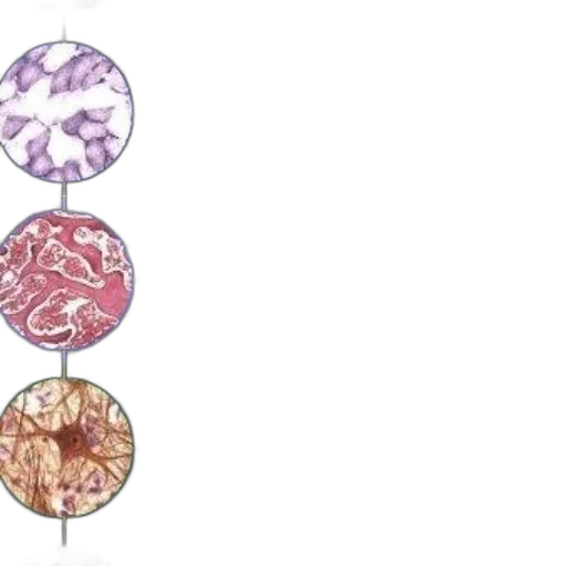 jewelry, cover, wheater, functional transparent PNG cut-out
