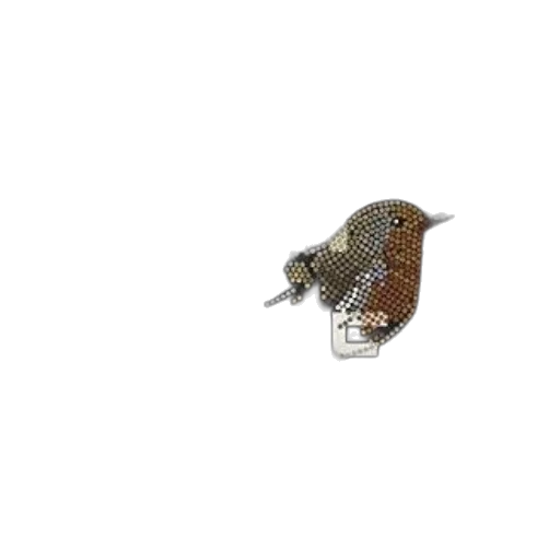 jewelry, hat, crown, animal transparent PNG cut-out