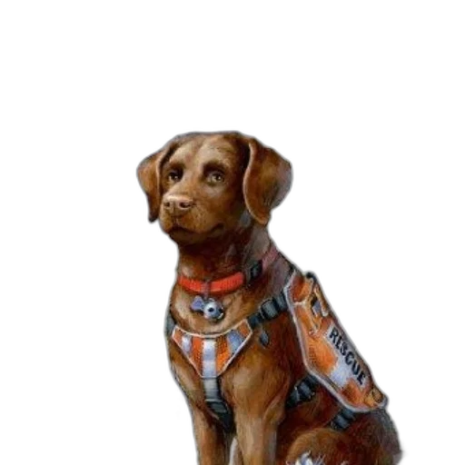 staff, jacket, animal, photorealistic transparent PNG cut-out
