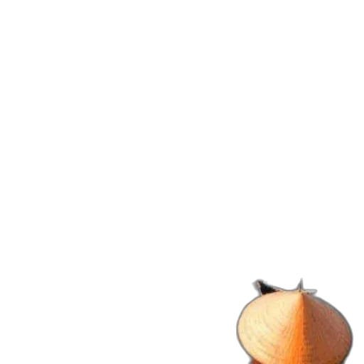 hat, food, staff, tree transparent PNG cut-out