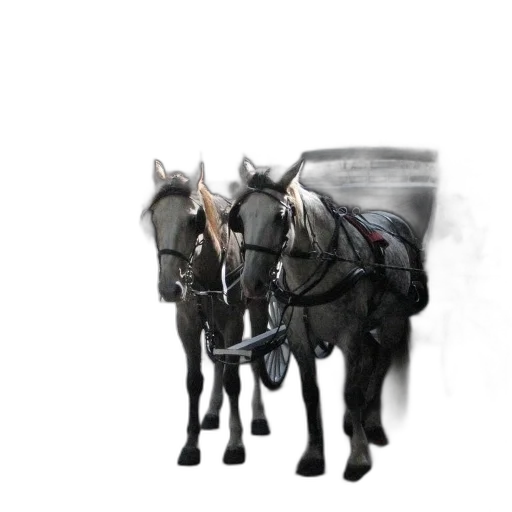 animal, staff, car, photorealistic transparent PNG cut-out