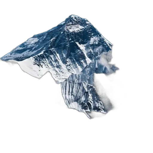 jacket, hat, hair, crown transparent PNG cut-out