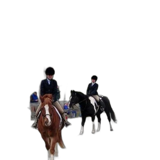 animal, staff, hat, jacket transparent PNG cut-out