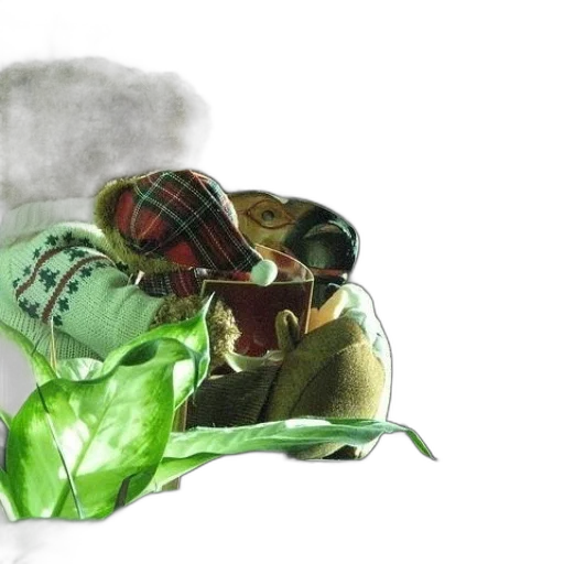 hat, mask, shoes, photorealistic transparent PNG cut-out