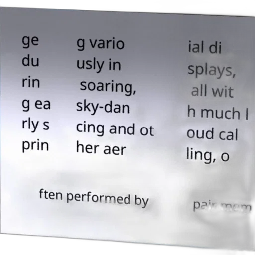 face, underwater, forest, text transparent PNG cut-out