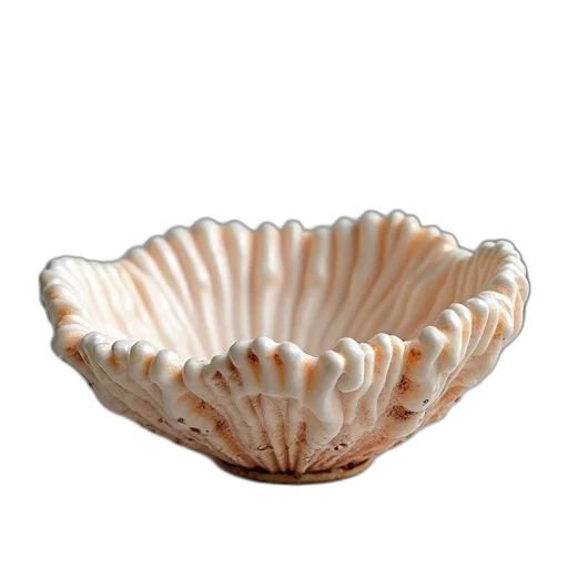 crown, jewelry, food, furniture transparent PNG cut-out