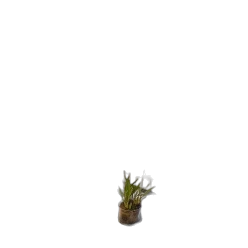 tree, creature, staff, crown transparent PNG cut-out